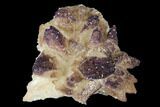 Calcite Crystal Cluster with Purple Fluorite (New Find) - China #177571-1